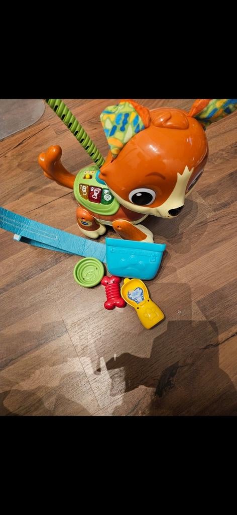 Vtech hondje, Ophalen, Zo goed als nieuw, 6 maanden tot 2 jaar