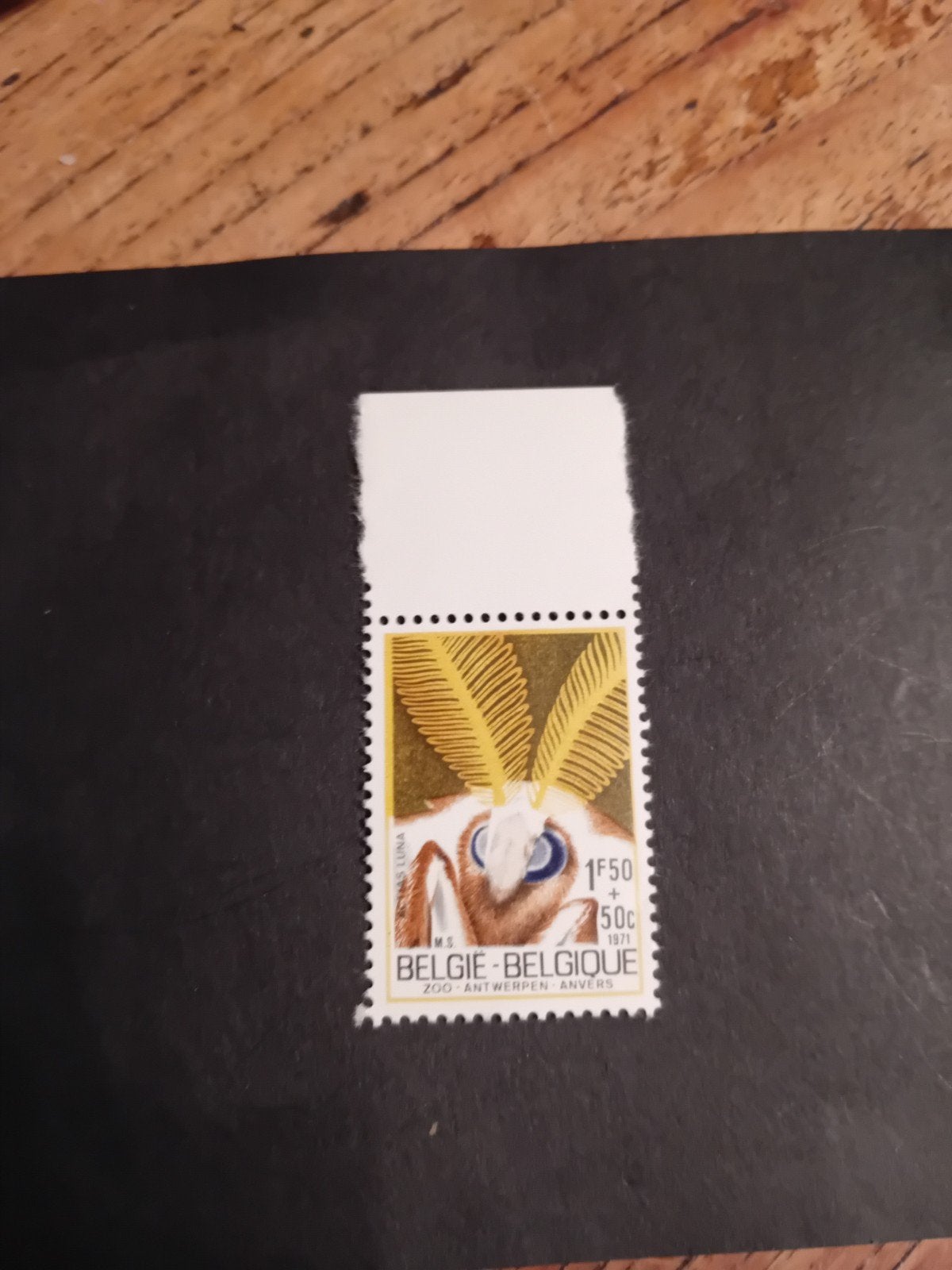 Belgische postzegel 1971 - Zoo Antwerpen Anvers, Ophalen of Verzenden, Frankeerzegel, Niet gestempeld, Overig