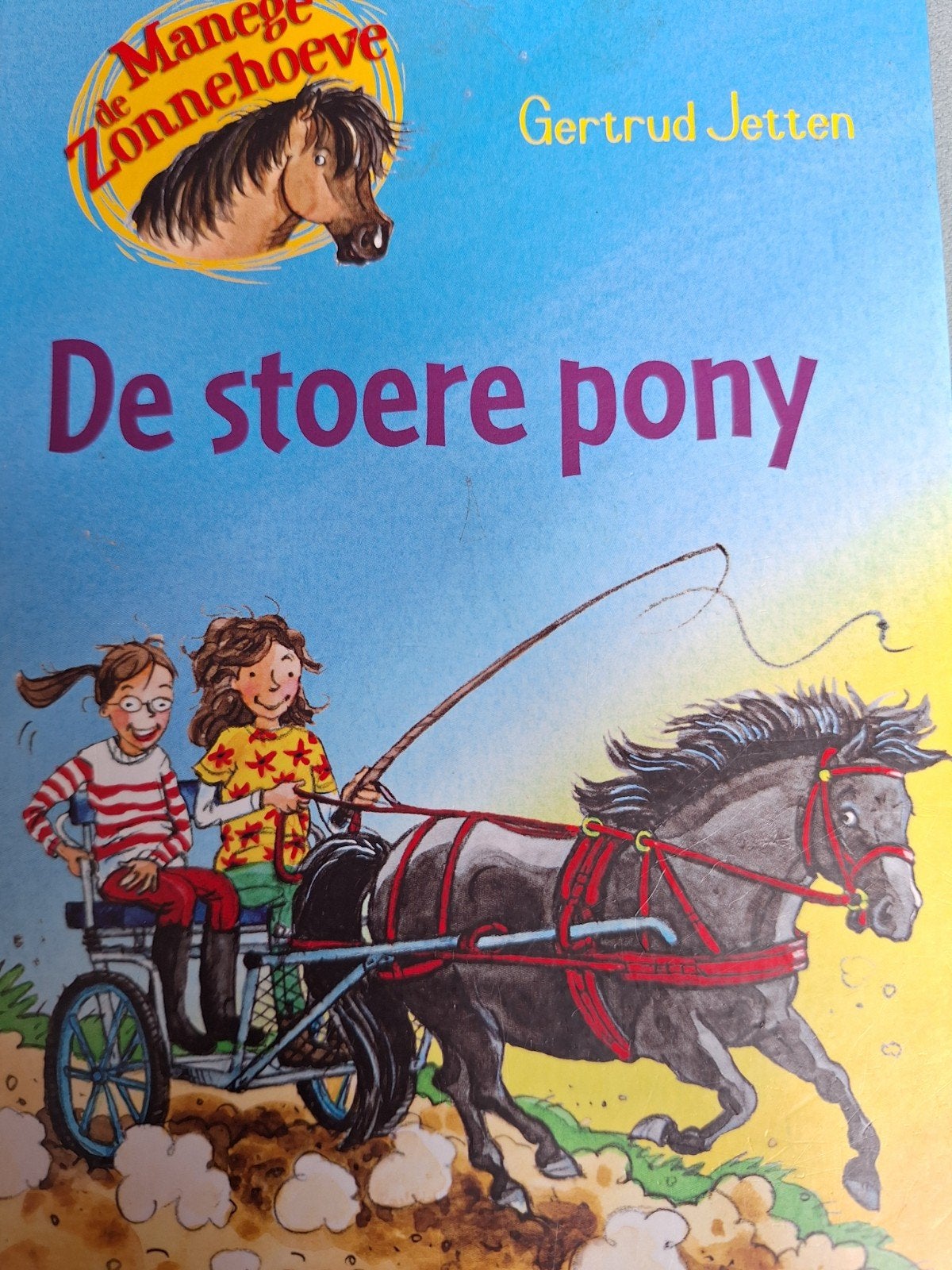 De stoere pony, Ophalen of Verzenden