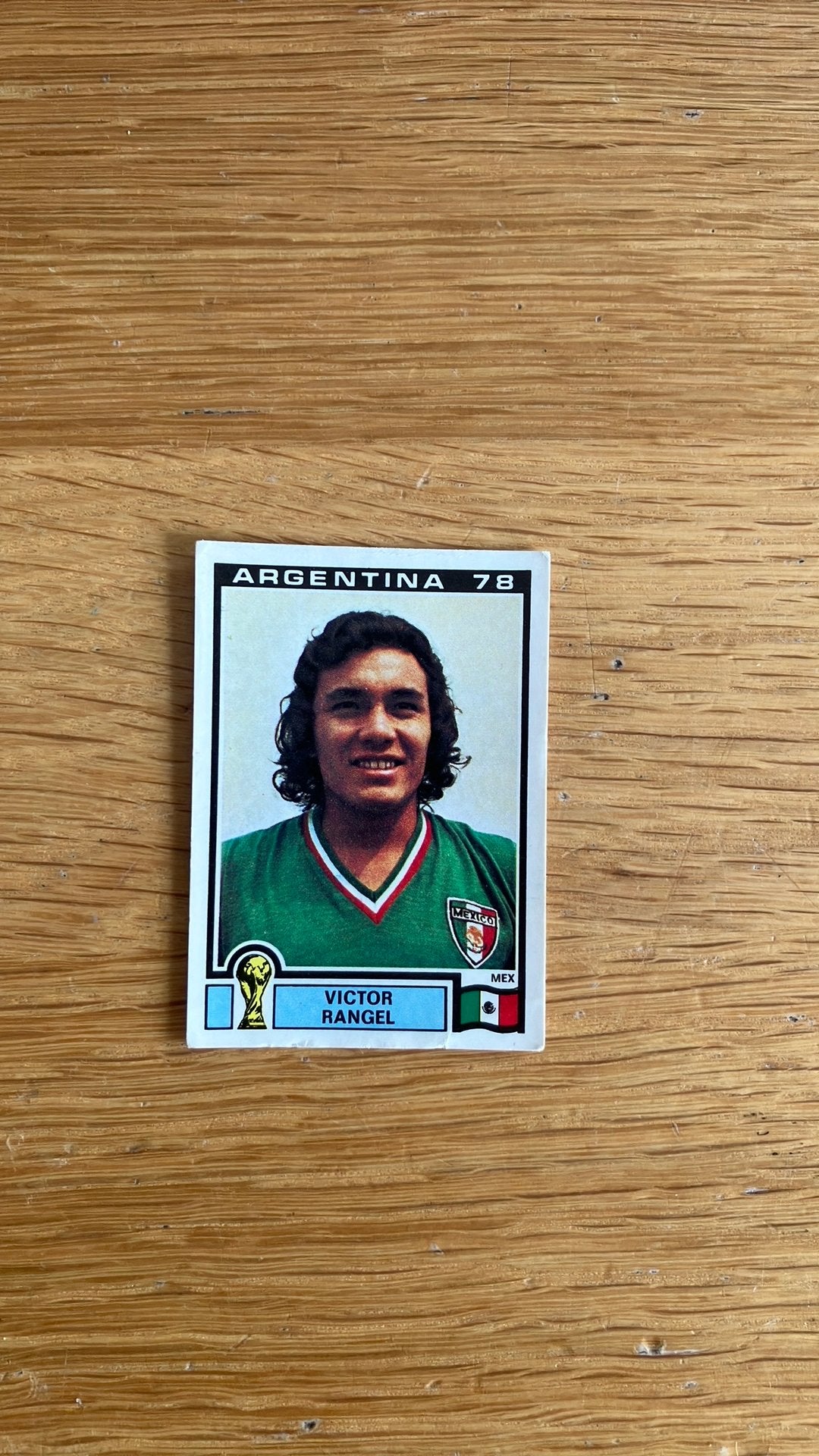 Panini Argentina ‘78, Ophalen of Verzenden, Zo goed als nieuw, Buitenlandse clubs, Poster, Plaatje of Sticker