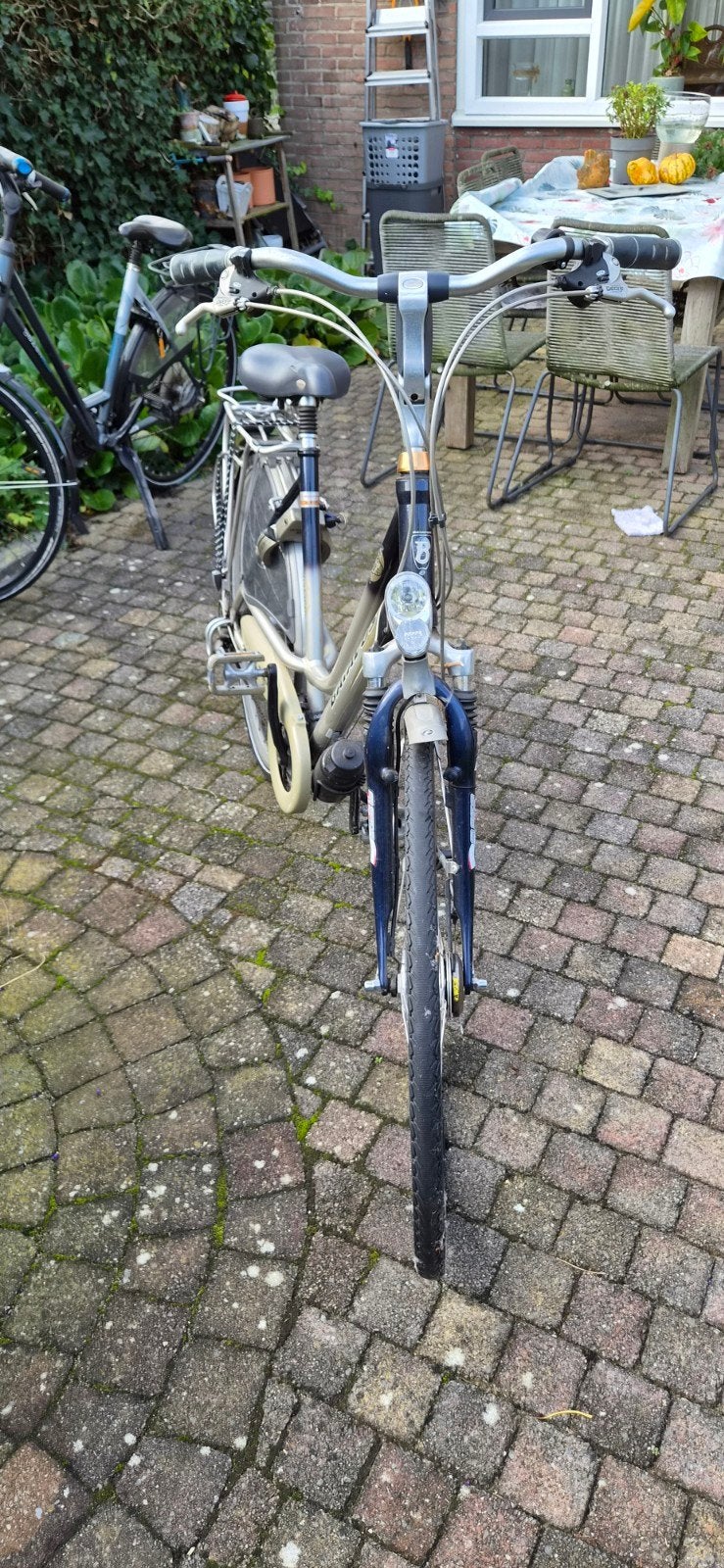 Batavus damesfiets met lage instap en versnellingen, Ophalen, Gebruikt, Batavus