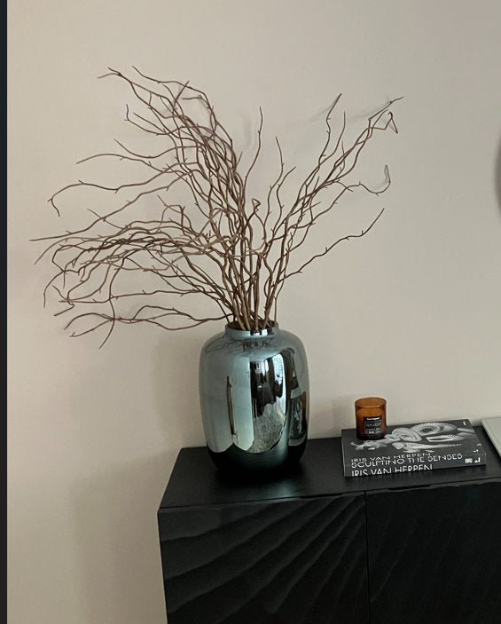 Vase The World vaas Arctic Gloss groot +  takken, Huis en Inrichting, Woonaccessoires | Vazen, Ophalen of Verzenden, Nieuw, Zwart
