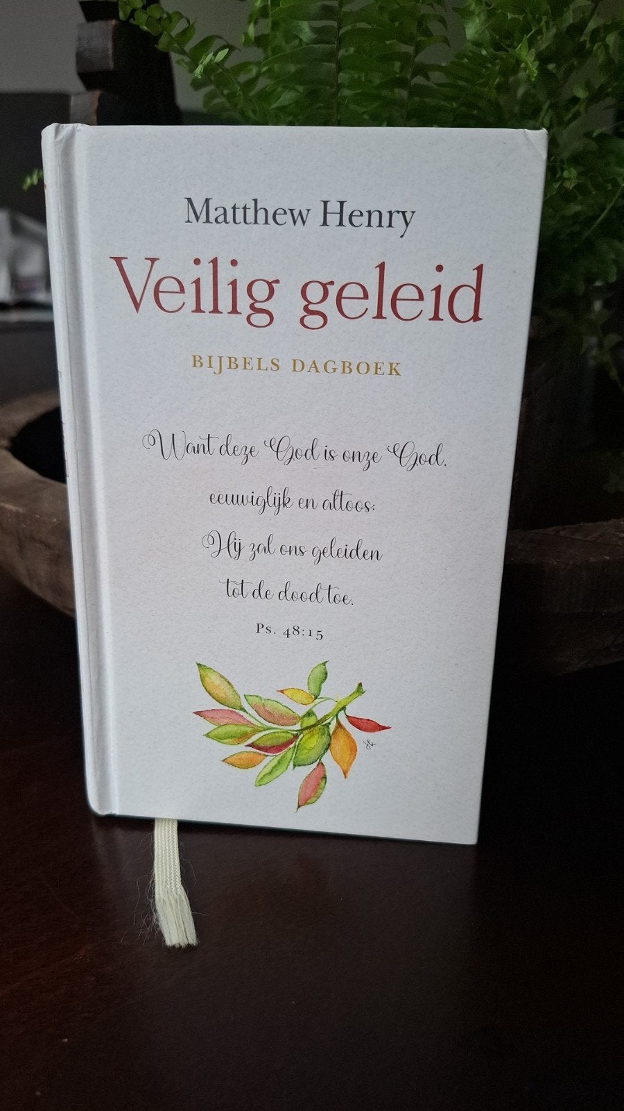 Matthew Henry - Veilig geleid, Ophalen of Verzenden, Zo goed als nieuw, Matthew Henry