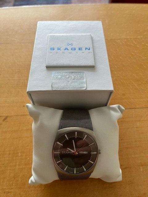 Heren horloge Skagen Denmark, Overige merken, Staal, Staal, Polshorloge