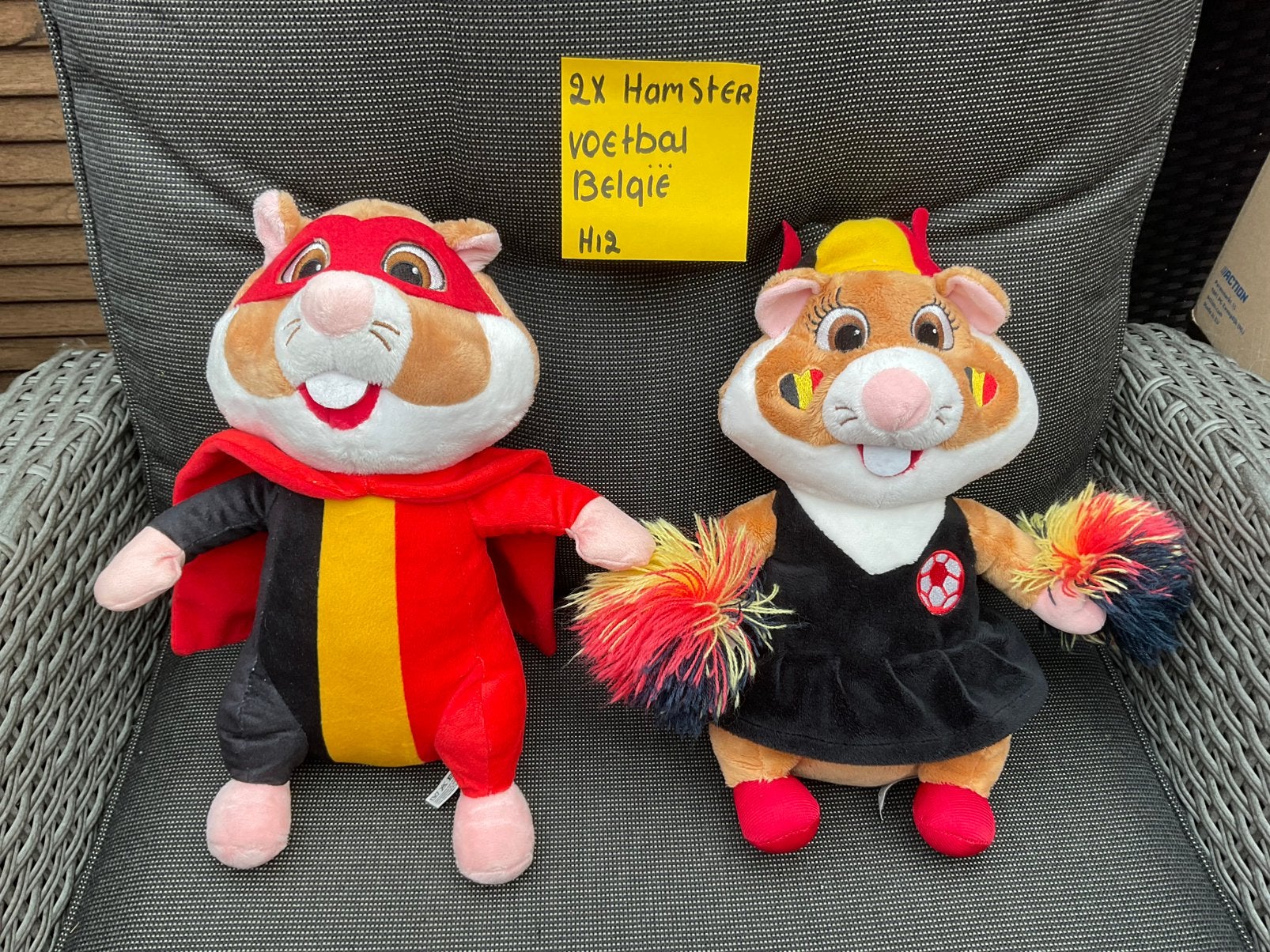 2 nieuwe zgan Belgische voetbal hamsters Albert Heijn, Verzamelen, Albert Heijn, Ophalen