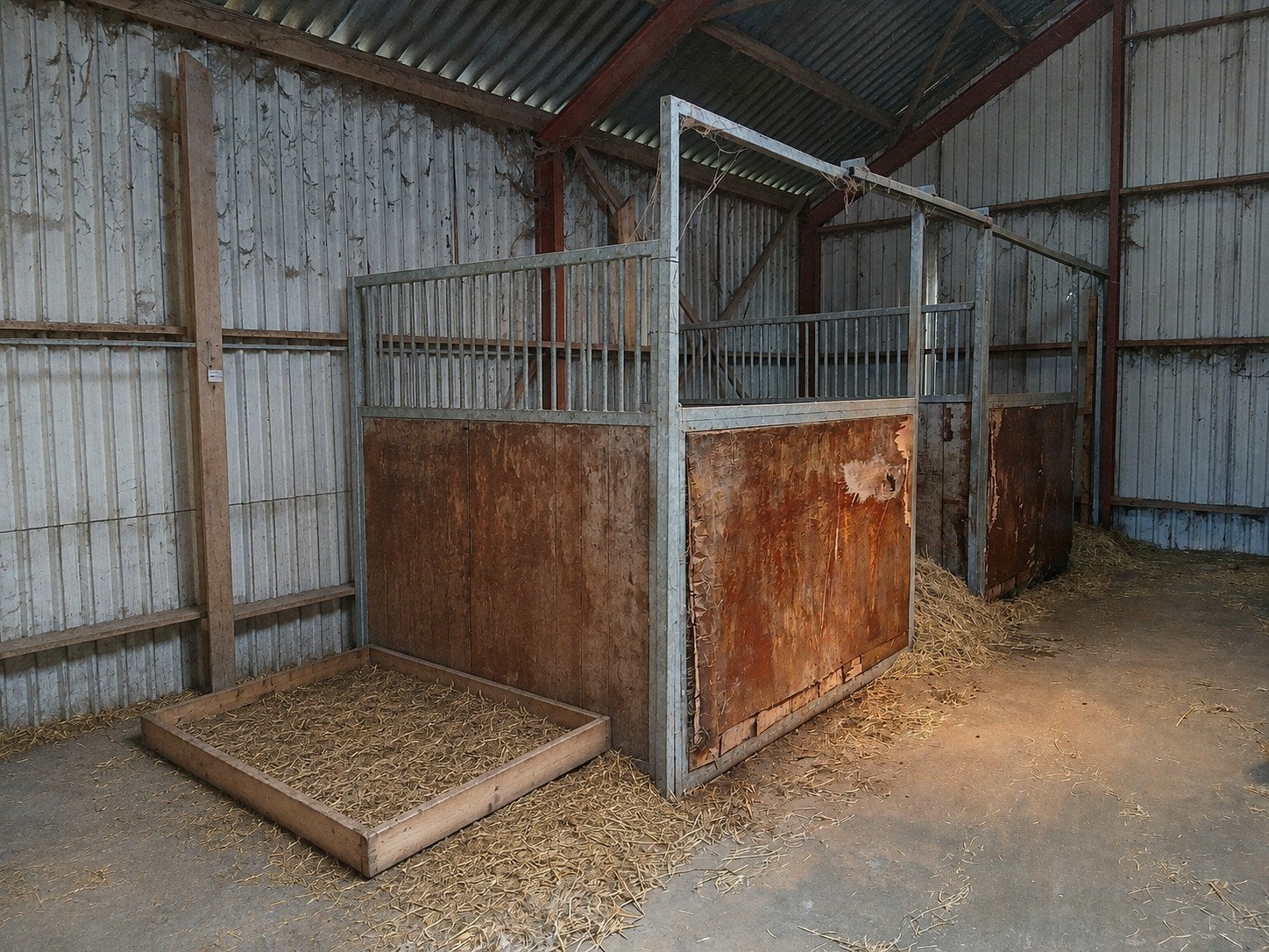 2x paardenbox, Dieren en Toebehoren, Mannelijk, Schaap