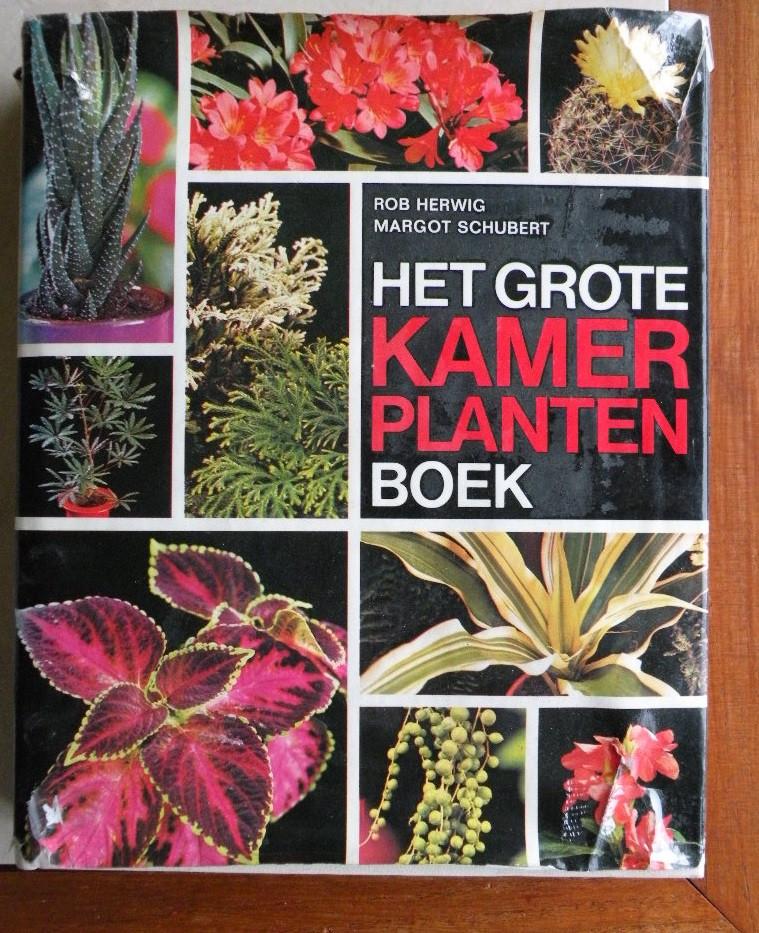 Het grote kamerplantenboek., Ophalen of Verzenden, Halfschaduw, Minder dan 100 cm