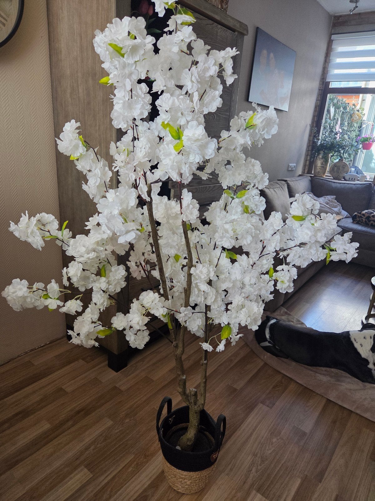 Bloesem boom, Huis en Inrichting, Woonaccessoires | Kunstplanten en Kunstbloemen, Ophalen, Zo goed als nieuw