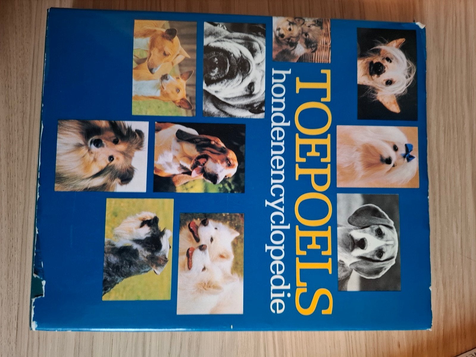 Toepoels hondenencyclopedie - Uitgebreid naslagwerk, Boeken, Ophalen of Verzenden, Gelezen, Dieren, Los deel