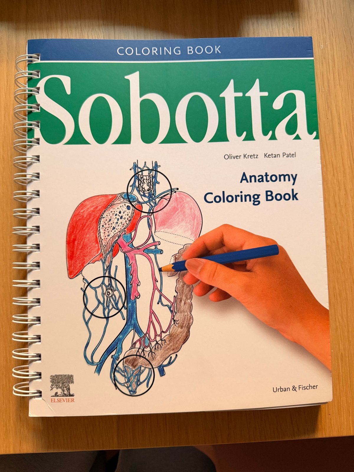 Sobotta Coloring Book - Anatomie inkleuren, Boeken, Ophalen of Verzenden, Beta, Zo goed als nieuw, WO