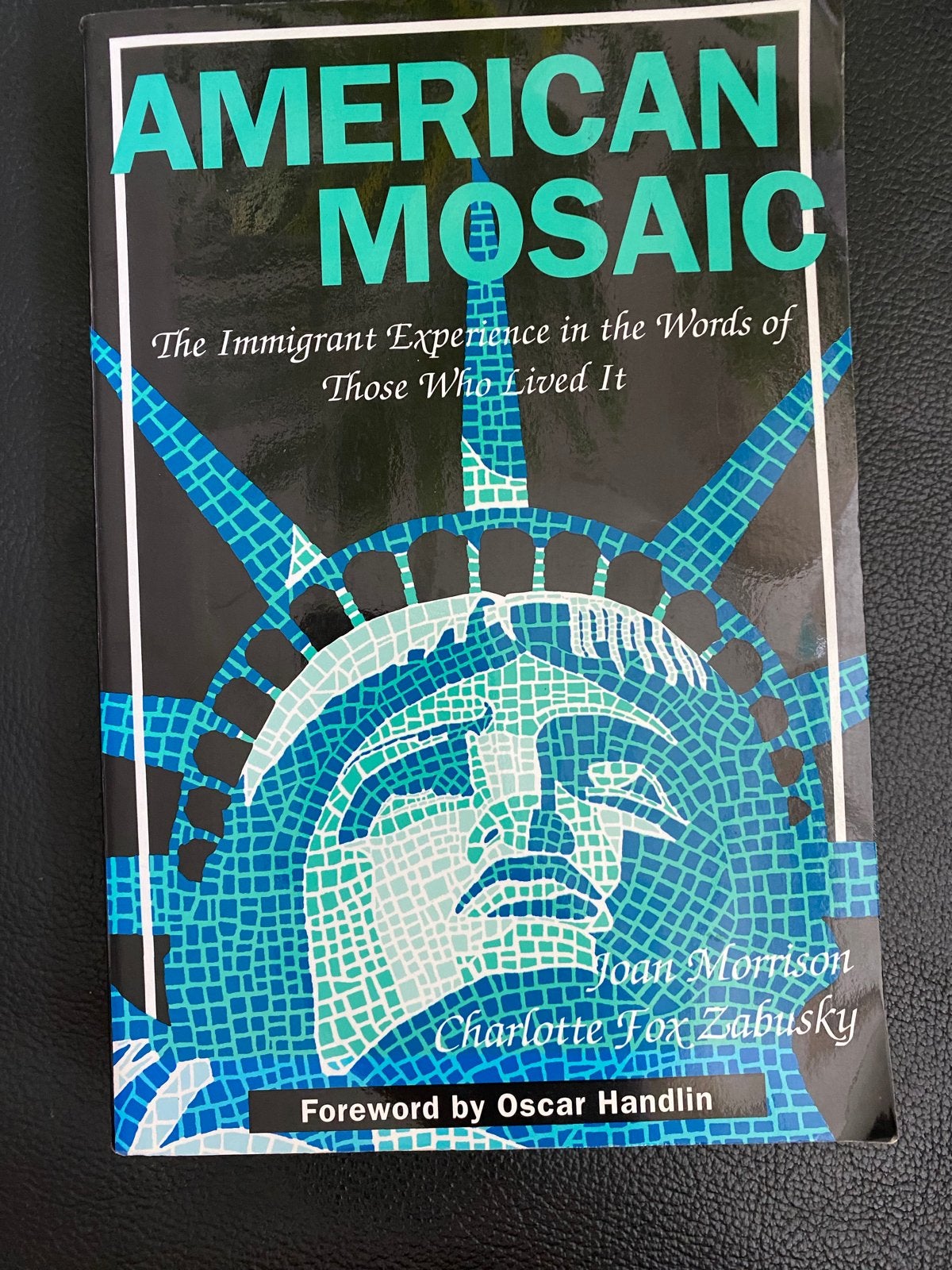 American Mosaic: The Immigrant Experience (Engels), Ophalen of Verzenden, Nieuw, Overige
