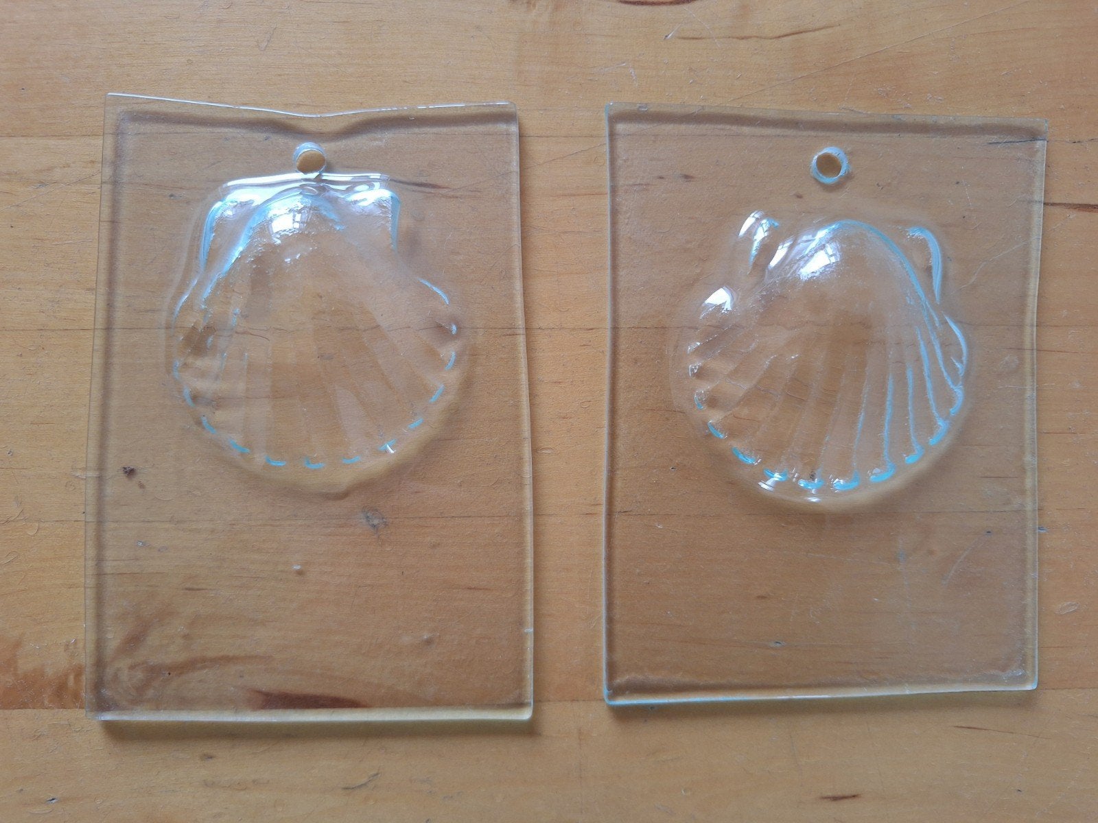 Twee glazen 3d jacobsschelpen, Ophalen of Verzenden, Zo goed als nieuw, Glas