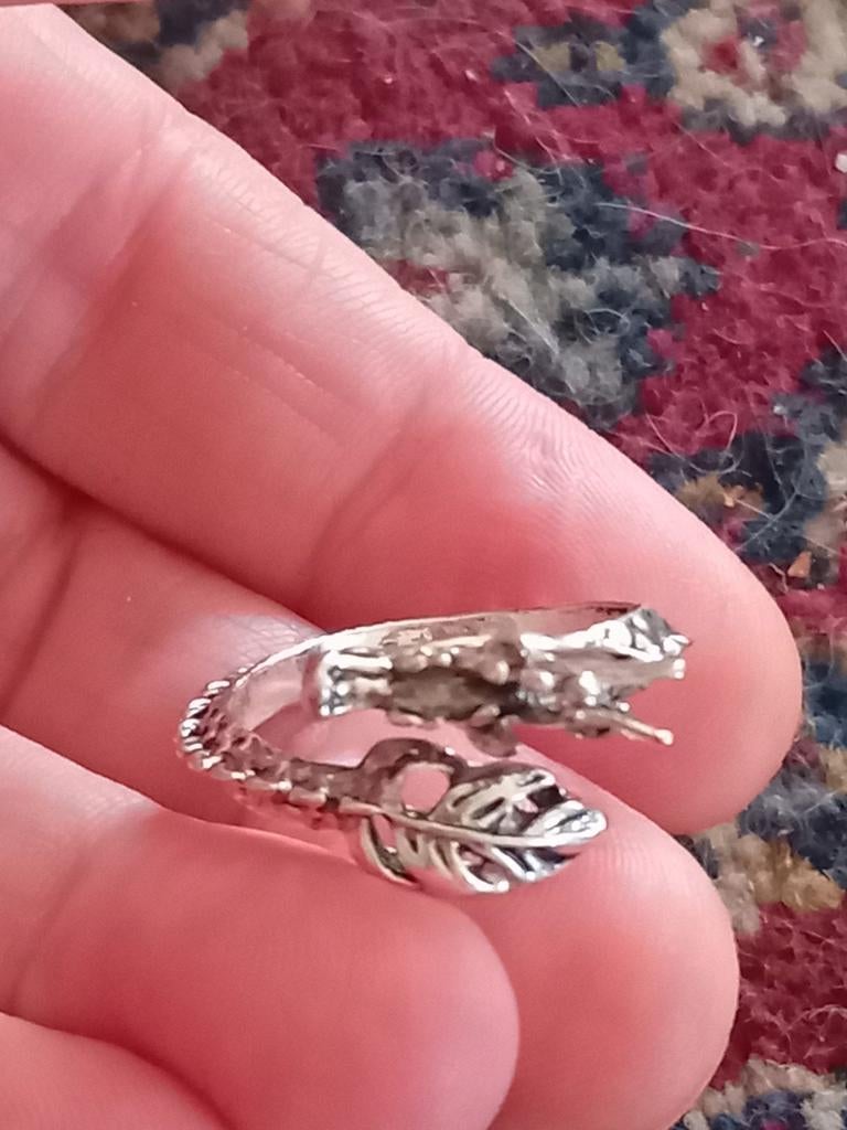 Prachtige Verstelbare Ring Maat 19 draak, Sieraden, Tassen en Uiterlijk, Ringen, Gebruikt, 19 tot 20, Ophalen of Verzenden, Dame of Heer