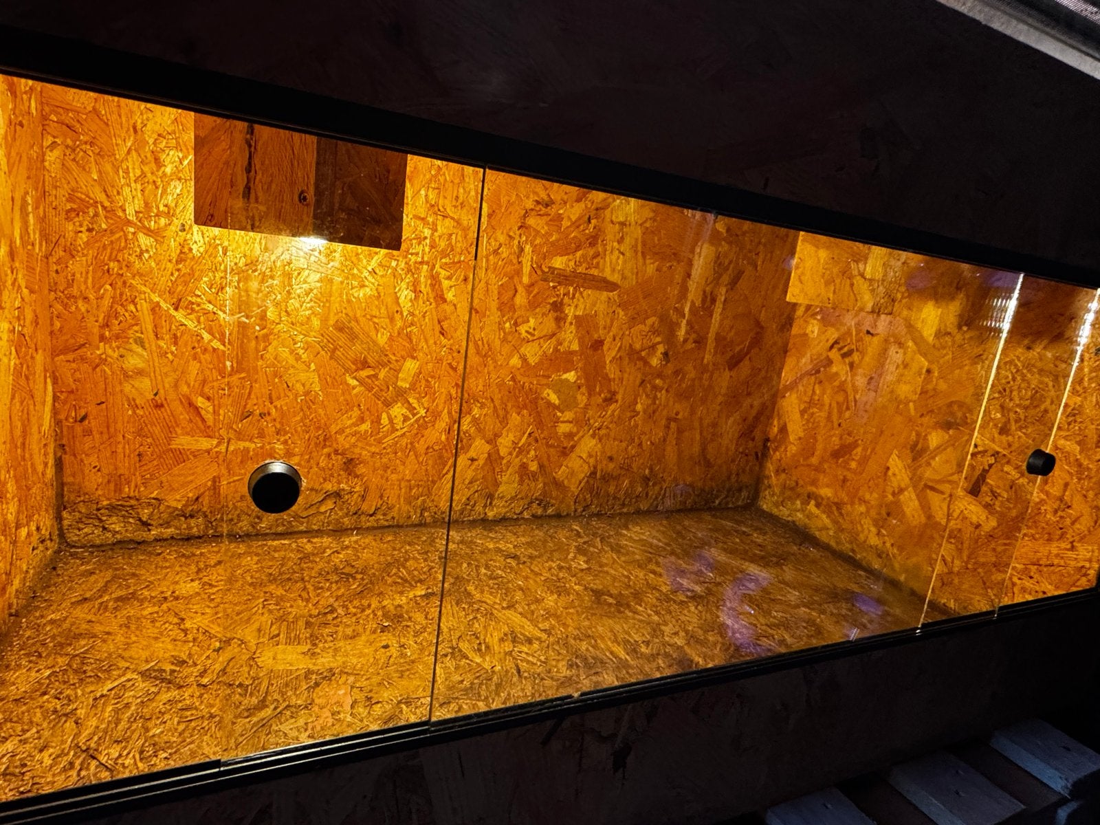 Gebruikte OSB 3 & Glas terrarium te koop. Lees beschrijving, Dieren en Toebehoren, Ophalen, Gebruikt, Terrarium of Paludarium
