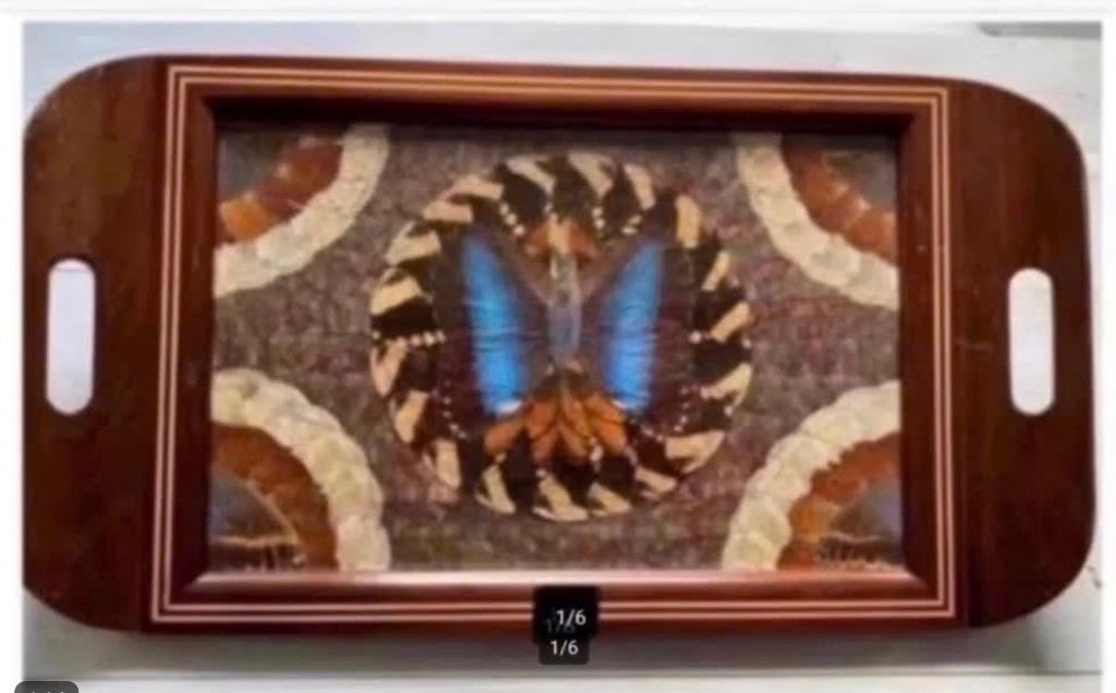 Antiek dienblad vol met echte vlindervleugels, Ophalen of Verzenden