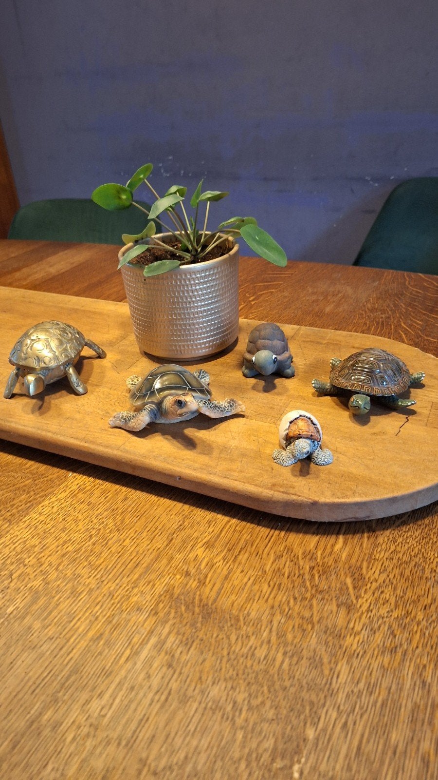 Verzameling van 5 decoratieve schildpadbeeldjes, Verzamelen, Ophalen of Verzenden