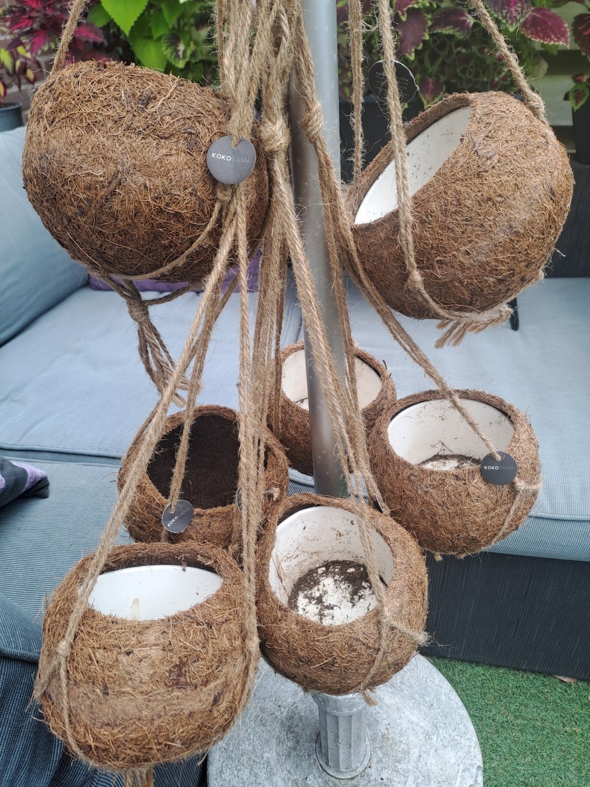 Kokodama hangpotten - set van 7 stuks, Overige materialen, Gebruikt, Minder dan 30 cm, Minder dan 60 cm