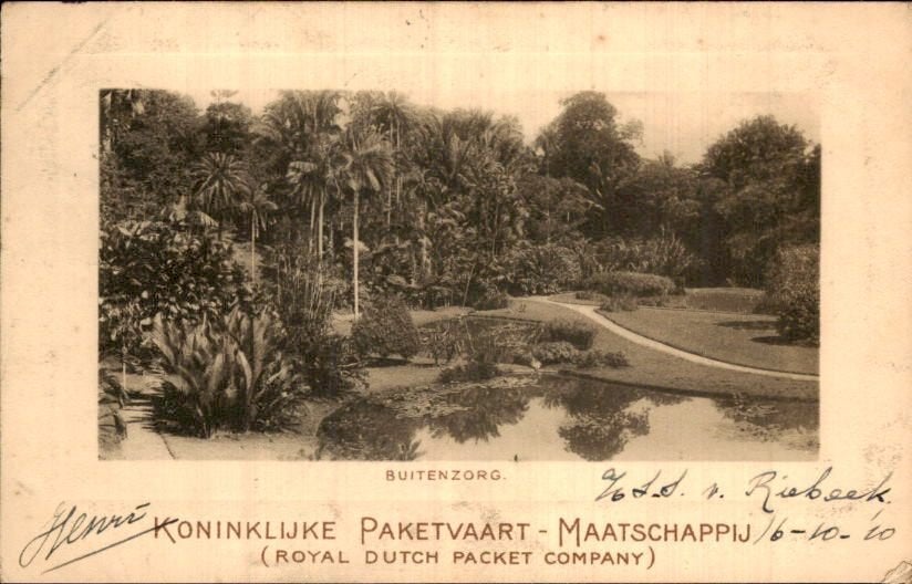 Nederlands Indië - Paketvaart - 1910, Ophalen of Verzenden, Briefkaart