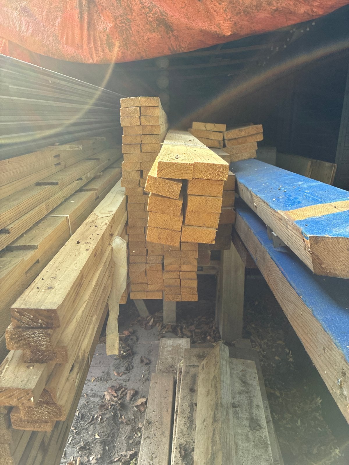 Panlatten 21,5x48x4200 mm, Ophalen, Minder dan 25 mm, Nieuw, Plank