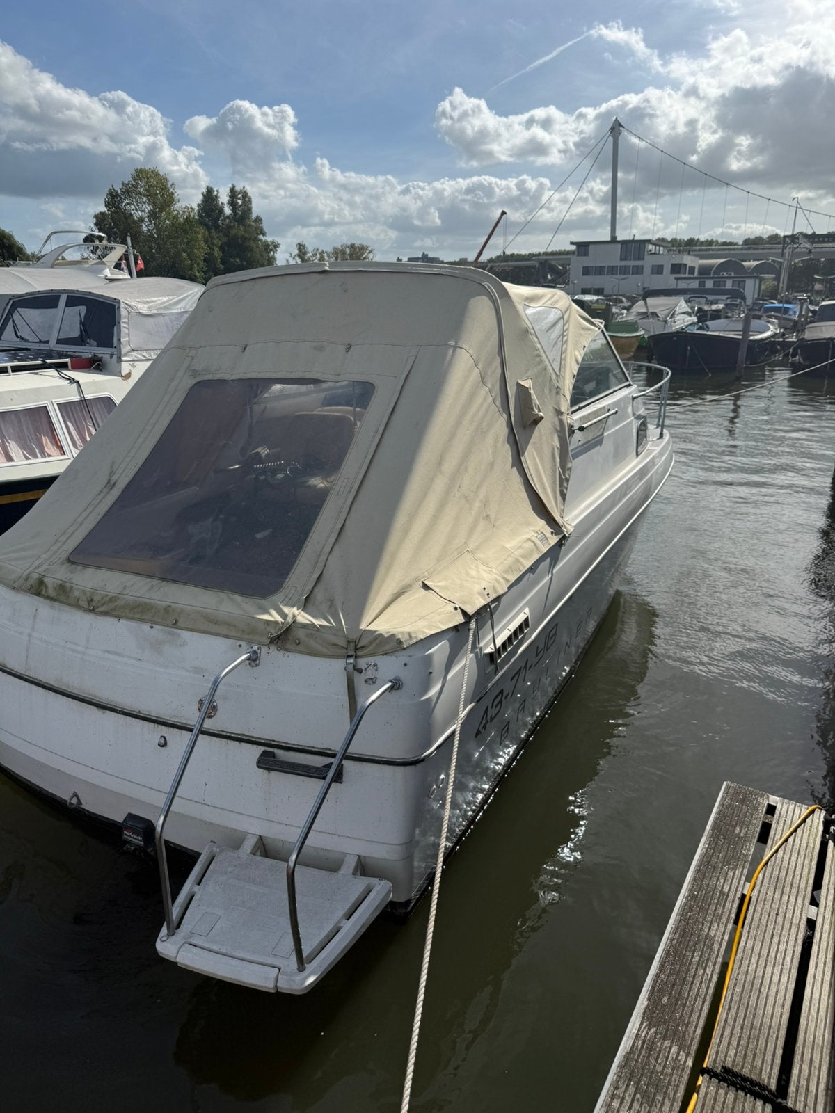 Bayliner 2455 Ciera Sunbridge, Gebruikt, Binnenboordmotor, 215 pk, Polyester