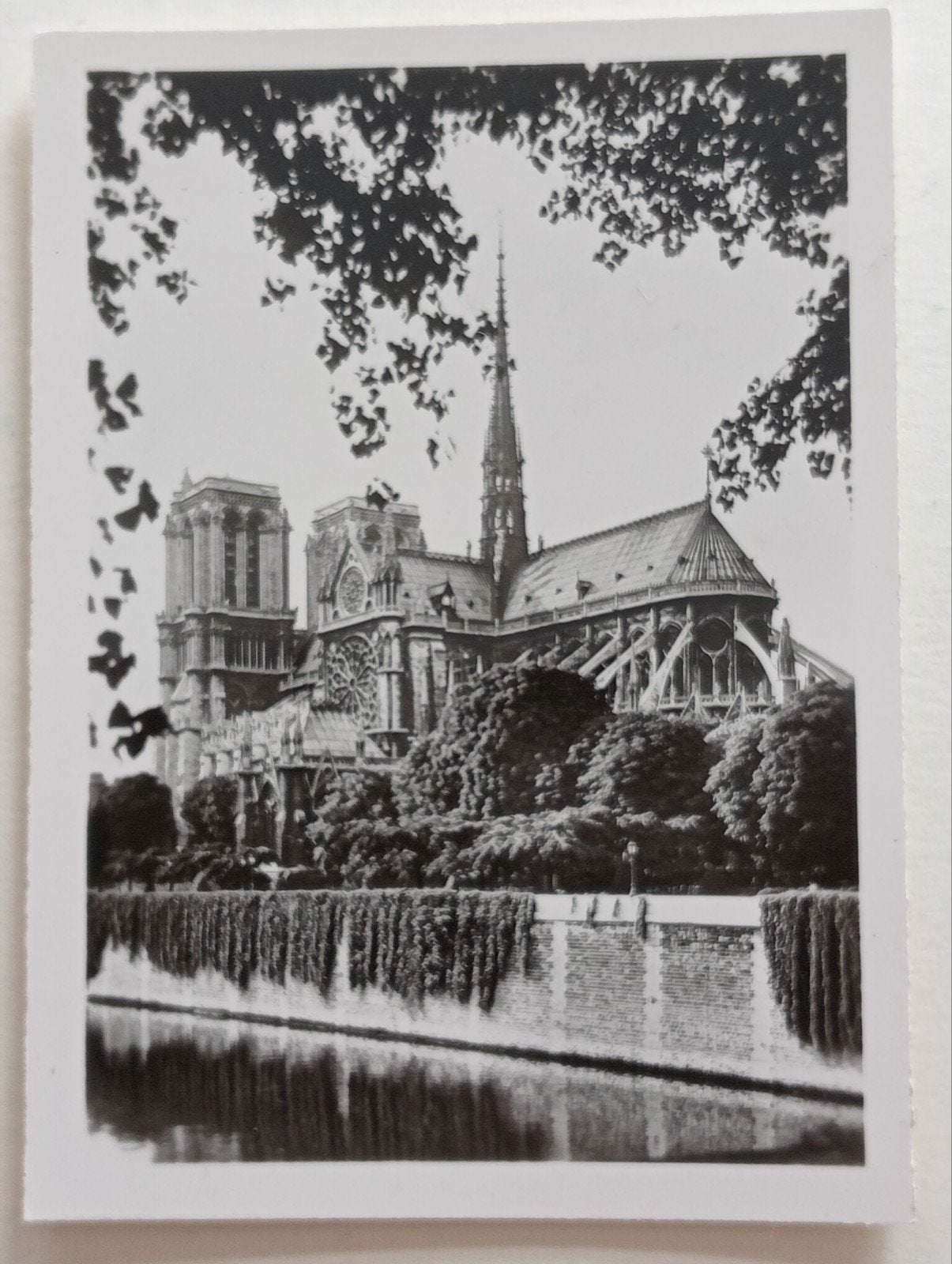 Parijs Notre Dame Paris foto jaren 40-60, Verzamelen, Ophalen of Verzenden