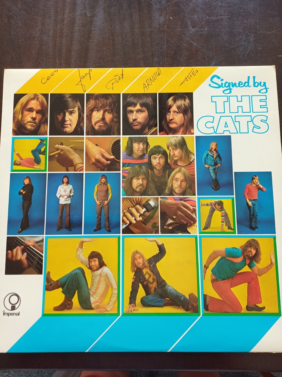 LP - The Cats Vinyl, LP, Gebruikt, Ophalen of Verzenden, 12 inch