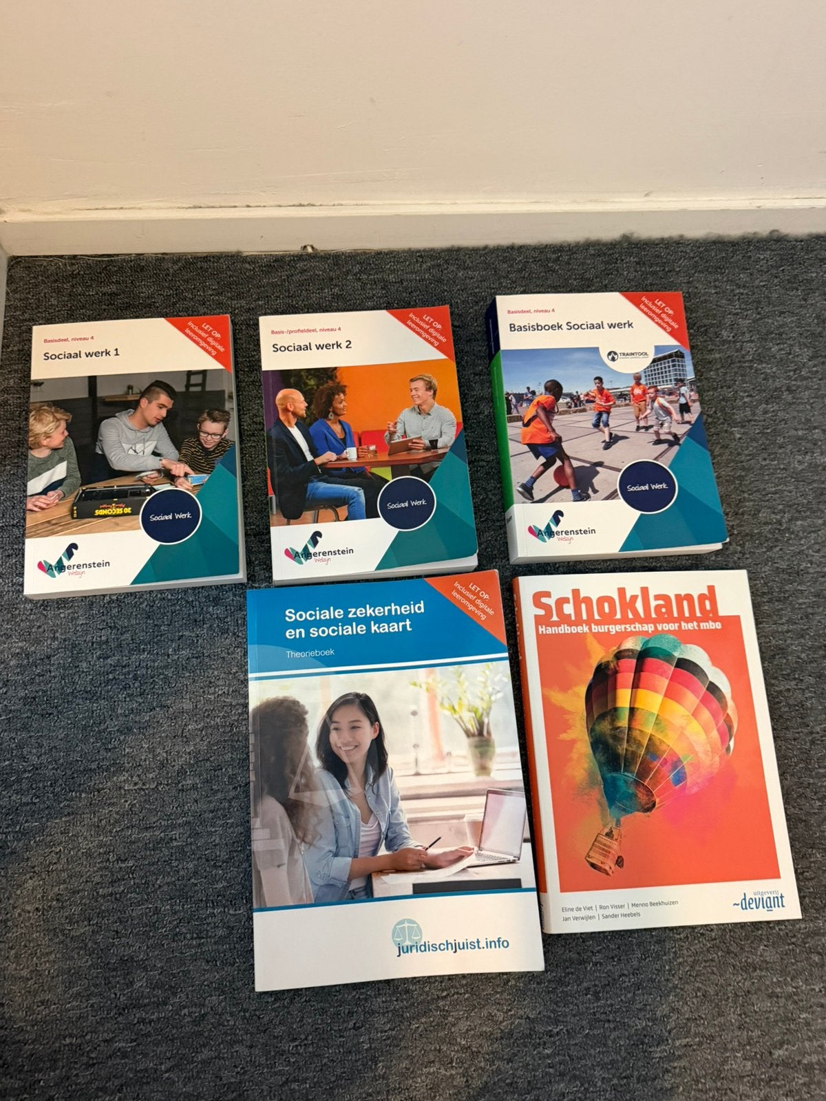 Sociaal werk boeken, Boeken, Ophalen of Verzenden, Zo goed als nieuw, Overige niveaus, Overige vakken