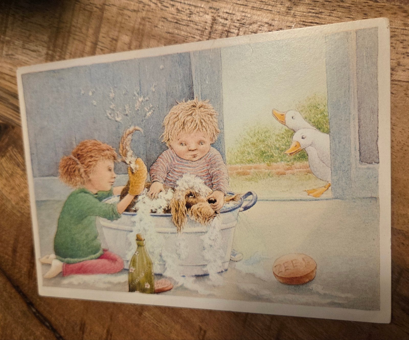 Kinderen doen hondje in bad, Verzenden, 1980 tot heden, Gelopen, Kinderen