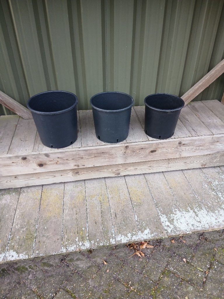 potten voor kerstbomen, Ophalen, Nieuw