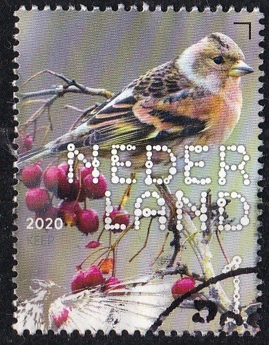 BDN – Bos- en heidevogels – keep – gebruikt – NVPH 3867, Verzenden, Na 1940, Gestempeld