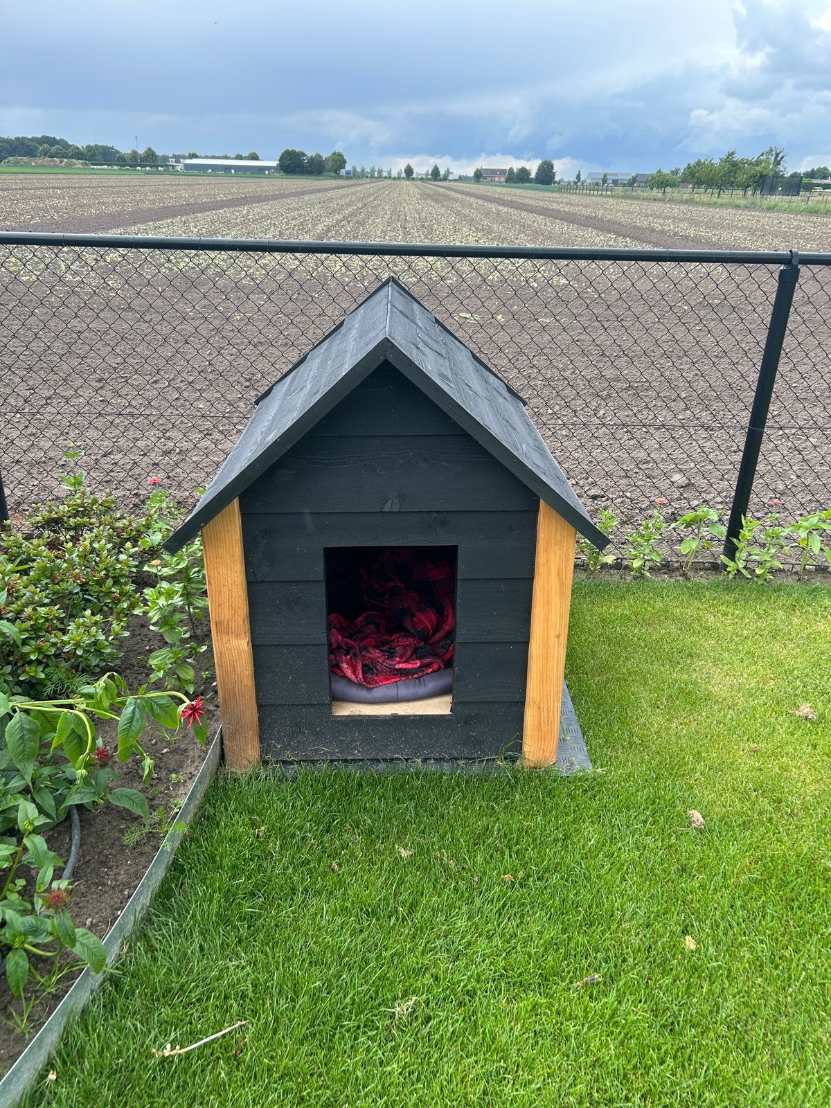 Hondenhok Douglas, Dieren en Toebehoren, Ophalen, 110 cm of meer, 100 cm of meer, Nieuw