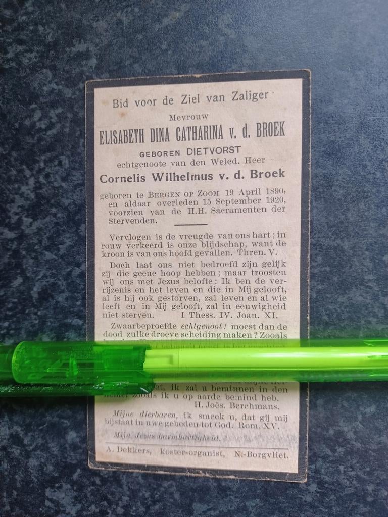 Bidprentje Bargen op Zoom Elisabeth vd Broek 1890 1920, Ophalen, Bidprentje