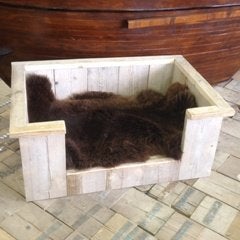 Hondenmand, Dieren en Toebehoren, Ophalen, Nieuw, Riet