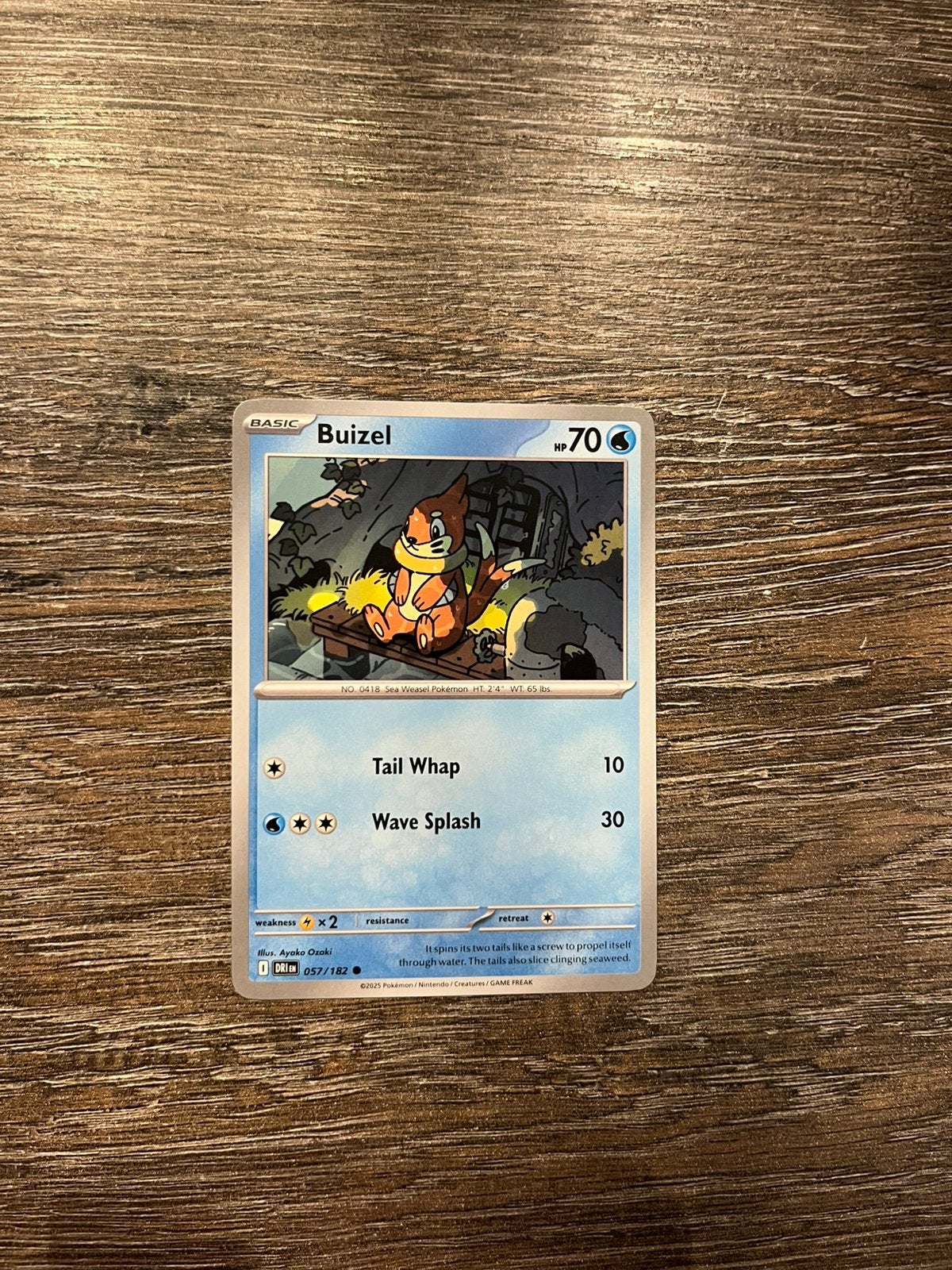 Buizel DRI 057/182, Ophalen of Verzenden, Zo goed als nieuw