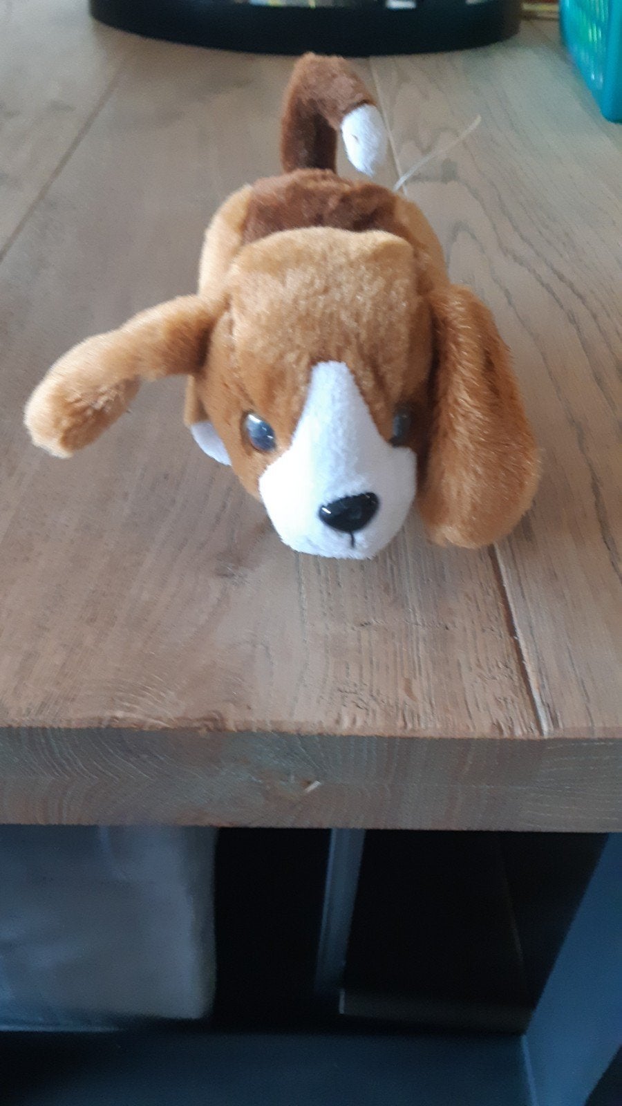 Rijdend hondje, Ophalen of Verzenden, Gebruikt
