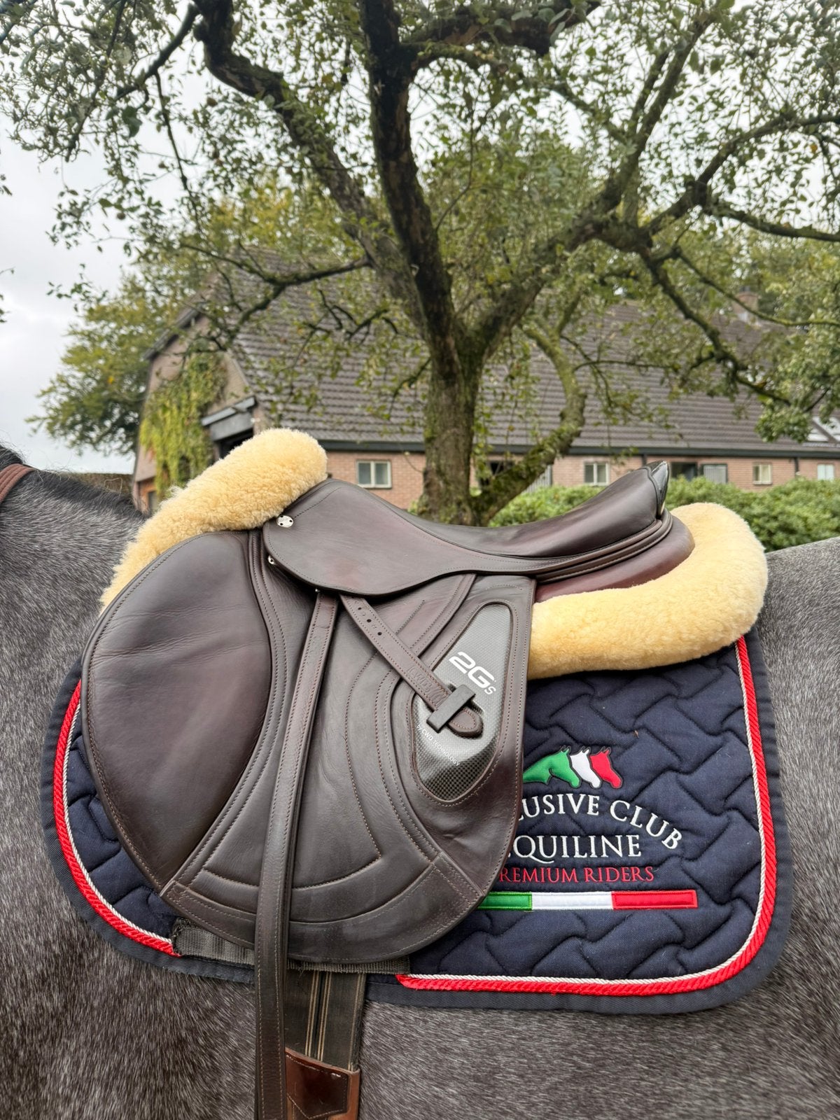 CWD 2gs springzadel 17,5 inch, L (17.5 inch), Gebruikt, Ophalen of Verzenden, Inclusief zadelhoes