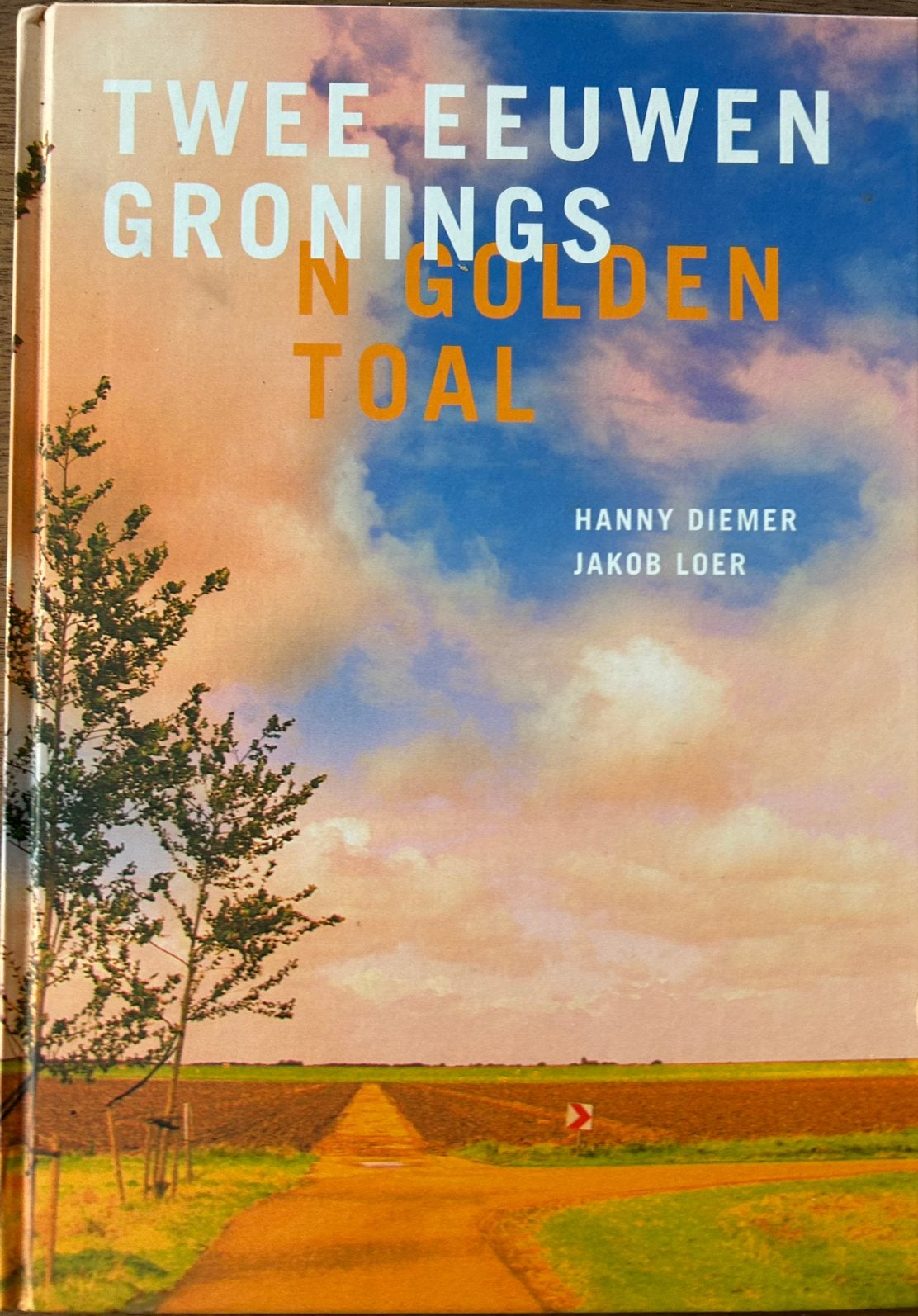 Twee eeuwen Gronings - Hanny Diemer, Jakob Loer - dialect, Ophalen of Verzenden, 20e eeuw of later, Zo goed als nieuw