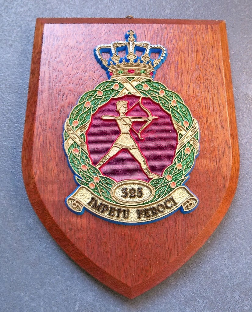 Wapenschild Koninklijke Luchtmacht 323 Squadron Leeuwarden, Verzamelen, Verzenden, Luchtmacht, Nederland, Overige typen