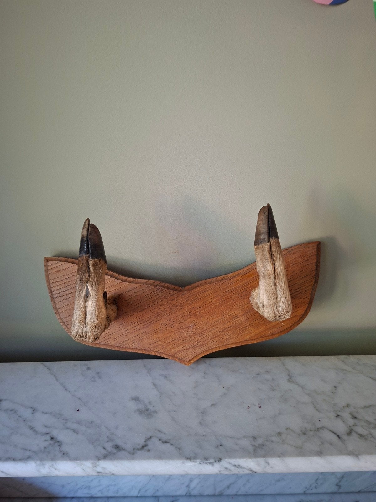 Vintage Jagers Wanddecoratie: Hertenhoeven op Houten Schild, Ophalen of Verzenden