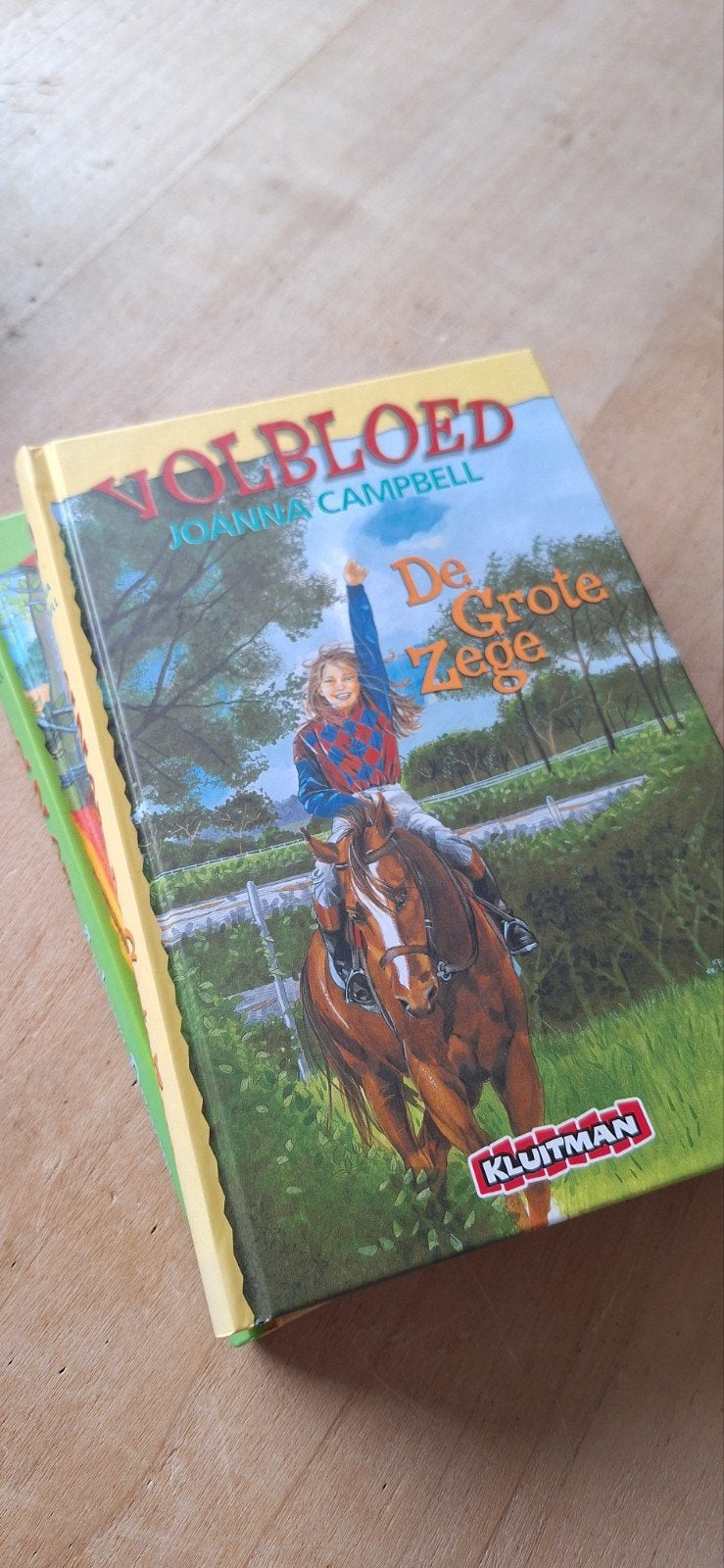 Joanna Campbell - De grote zege en Ambers droom, Ophalen of Verzenden, Zo goed als nieuw, Joanna Campbell