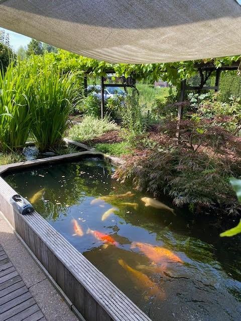 lavasteen los of voor helofytenfilter systeem, Tuin en Terras, Vijver-toebehoren, Ophalen, Gebruikt, Vijverfilter