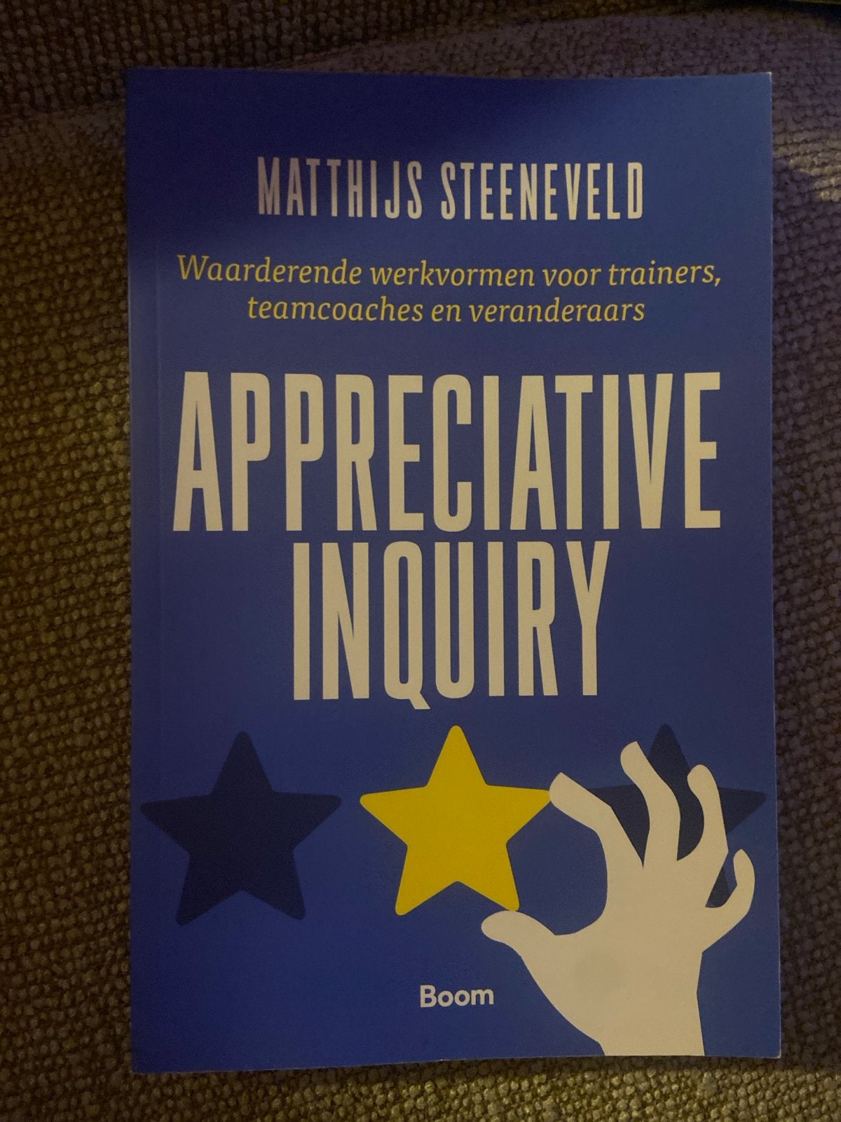 Appreciative Inquiry - Matthijs Steeneveld (Zo goed als nieu, Ophalen of Verzenden, Zo goed als nieuw