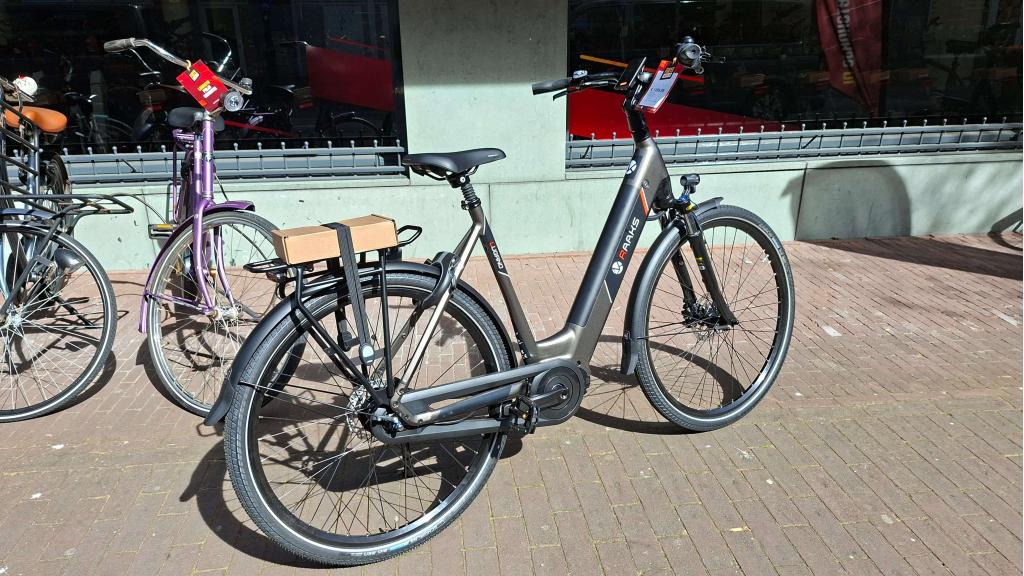 Fietshokje Raaks: Raaks Lugano Elektrische Fiets N8 V, Fietsen en Brommers, Fietsen | Dames | Damesfietsen, Niet ingevuld, Niet ingevuld
