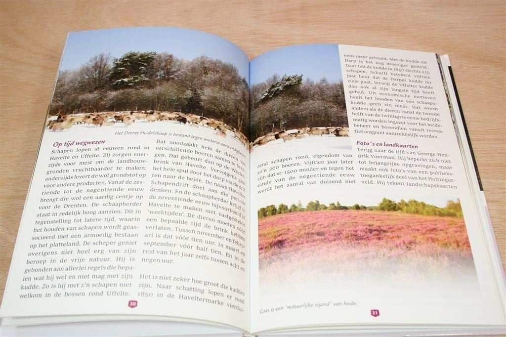 Drents Heideschaap Holtingerveld – 30 Jaar Schaapskudde, Ophalen of Verzenden, Zo goed als nieuw