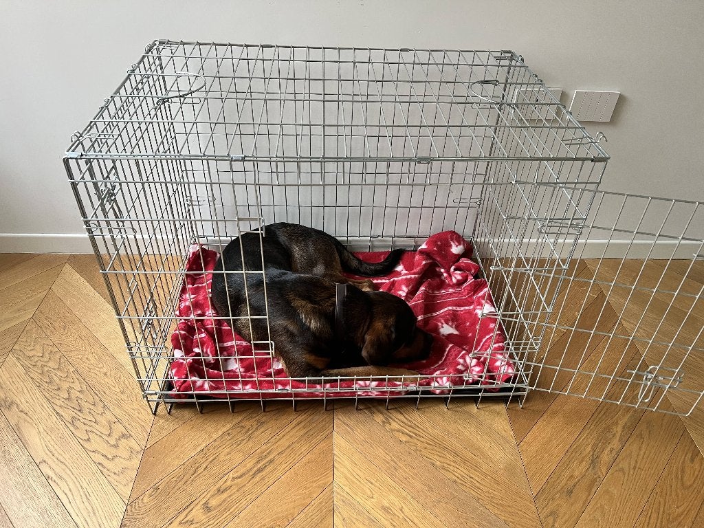 Croci hondenbench opvouwbaar kennel 93x62x69 cm, Ophalen, Hondenkennel, 110 cm of meer, 100 cm of meer