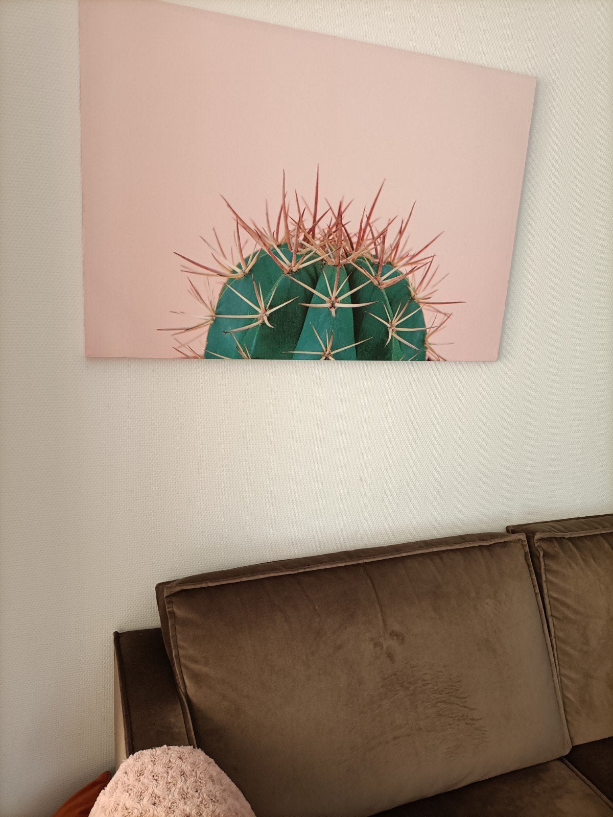 Cactus schilderij 60x90cm, Ophalen, 50 – 75, Zo goed als nieuw, Schilderij