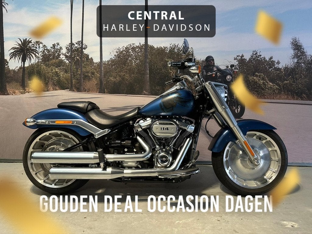 Harley-Davidson Fat Boy 1868 114 ANNIVERSARY 69KW, Motoren, Motoren | Harley-Davidson, Bedrijf, Meer dan 35 kW, Overig, 1868 cc