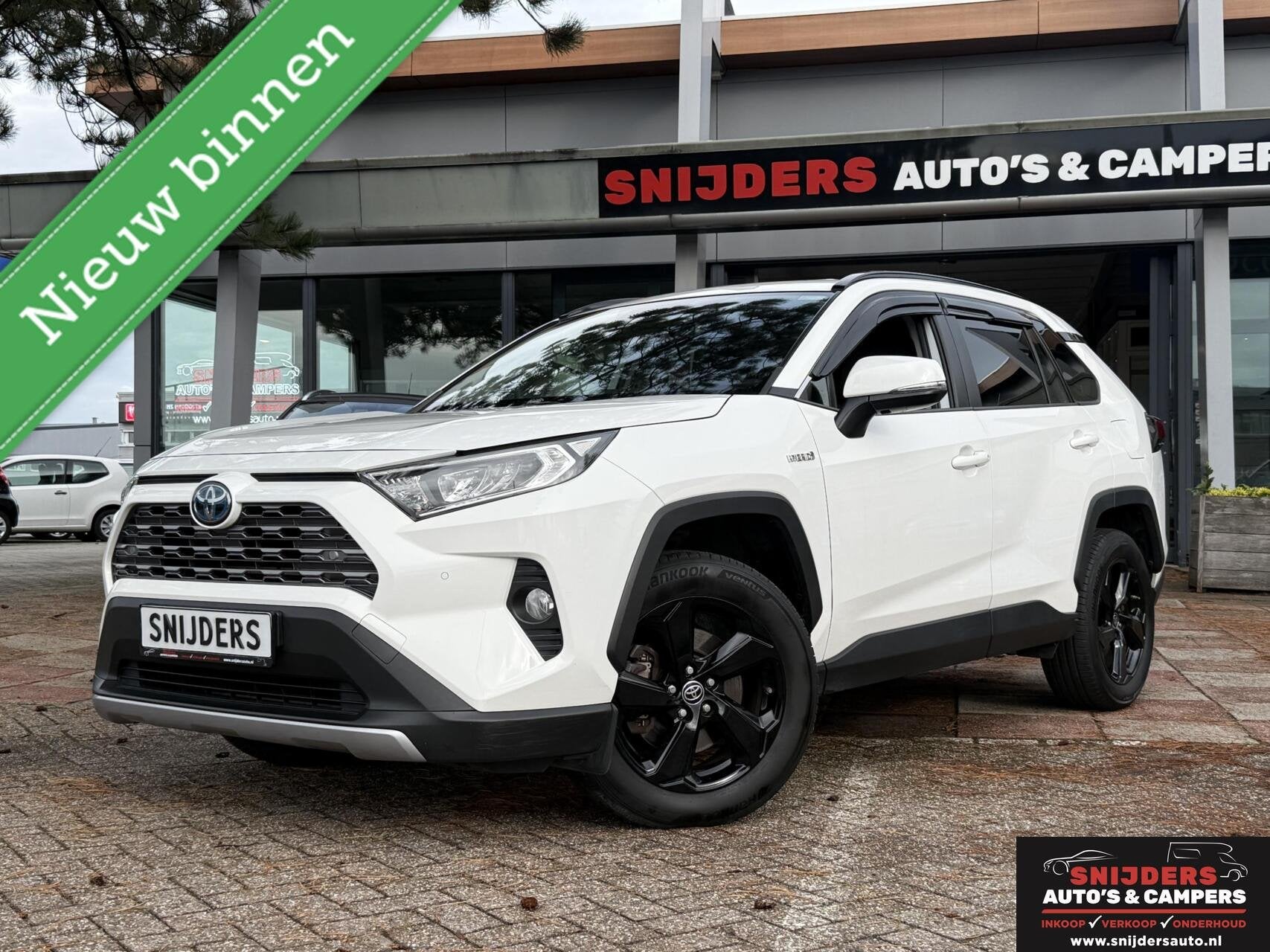 Toyota RAV4 2.5 Hybrid Business Plus keurig onderhouden