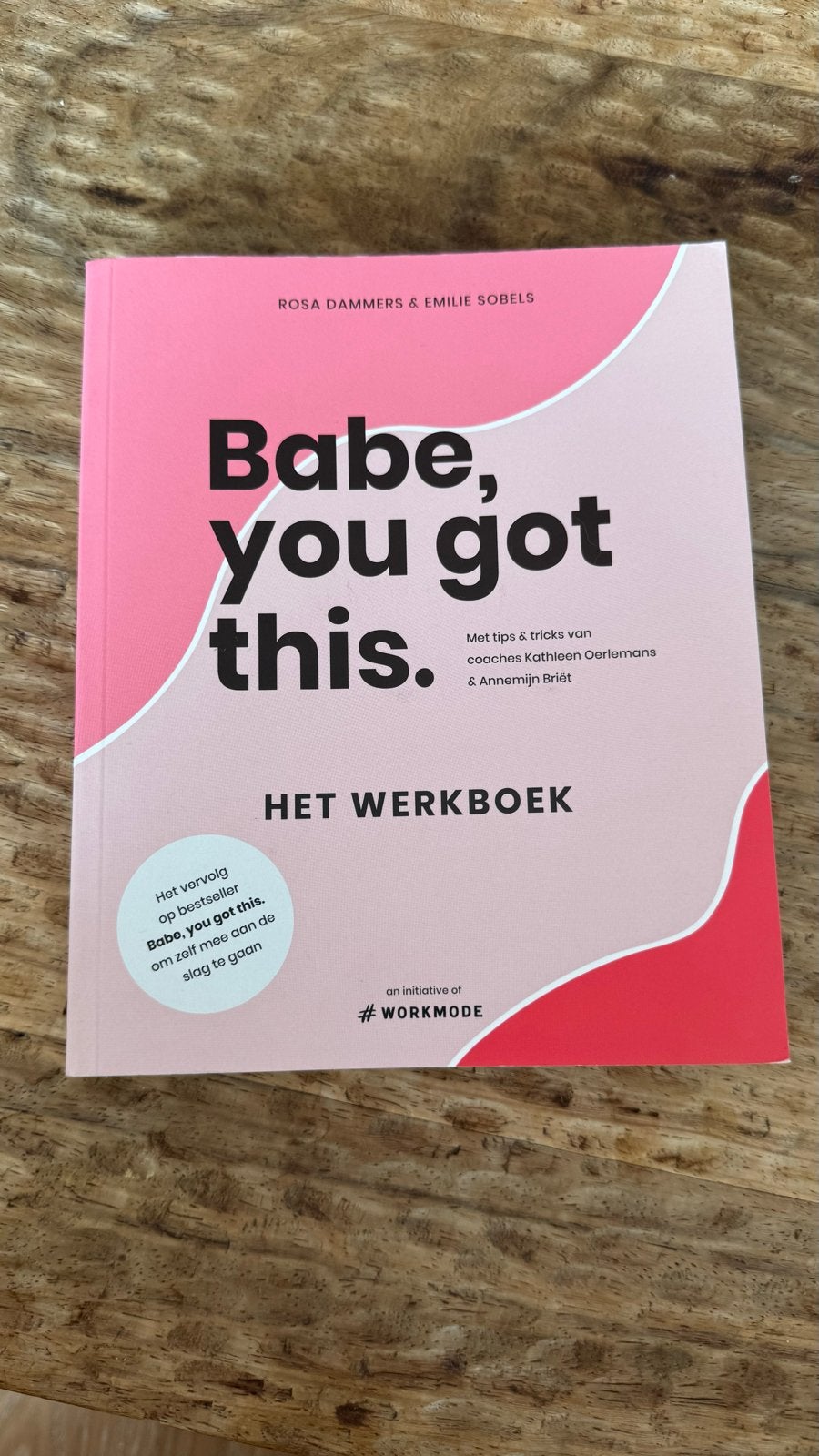 Rosa Dammers - Babe, you got this  (werkboek), Ophalen of Verzenden, Nieuw, Rosa Dammers; Emilie Sobels