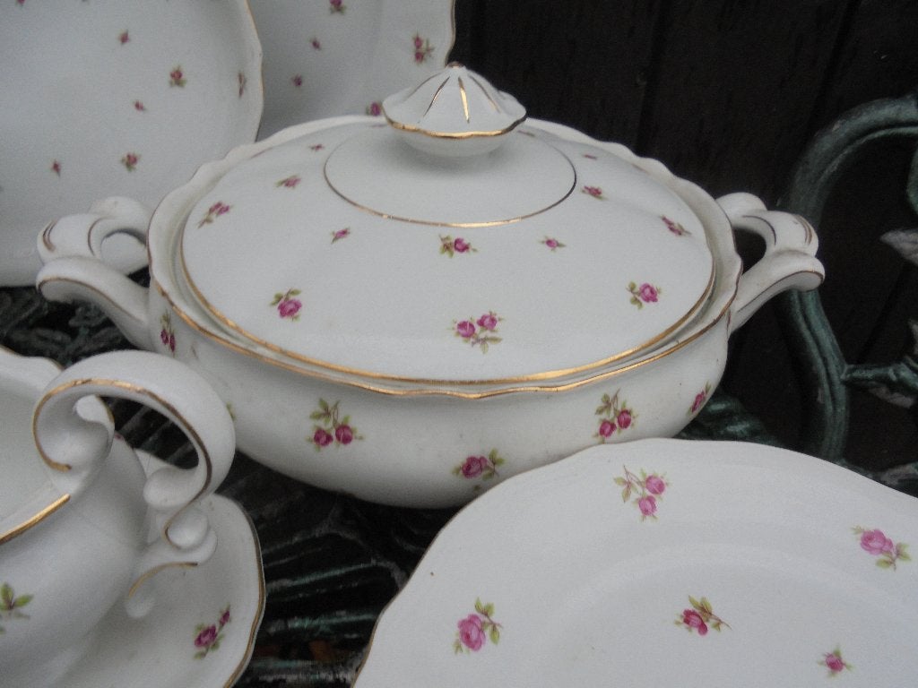 Dinerservies Mitterteich Bavaria vol kleine roze roosjes, Antiek en Kunst, Ophalen of Verzenden